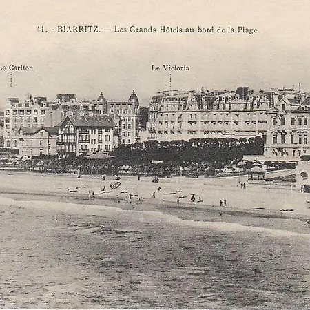 La Grande Plage Carlton⎜sublime Studio Classe 3*** *